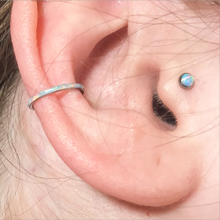 Septum-072-2@主图4